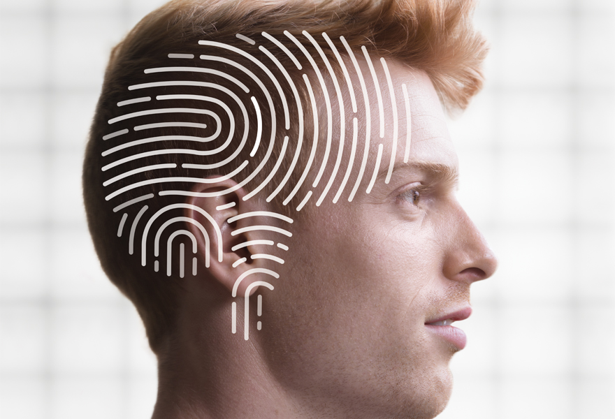 Head profile and fingerprint brain