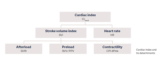 Cardiac index tree