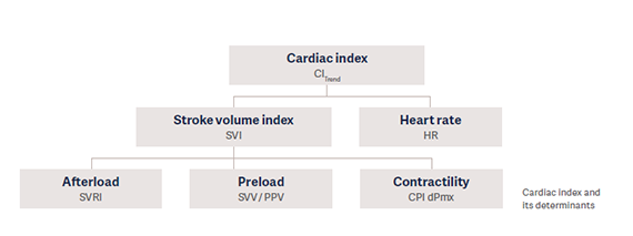 Cardiac index tree Cardiac index tree