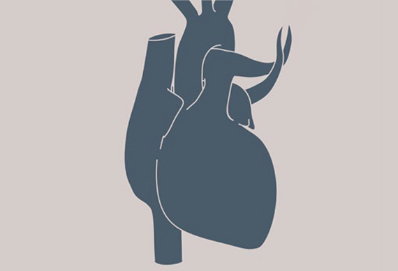 Heart Heart