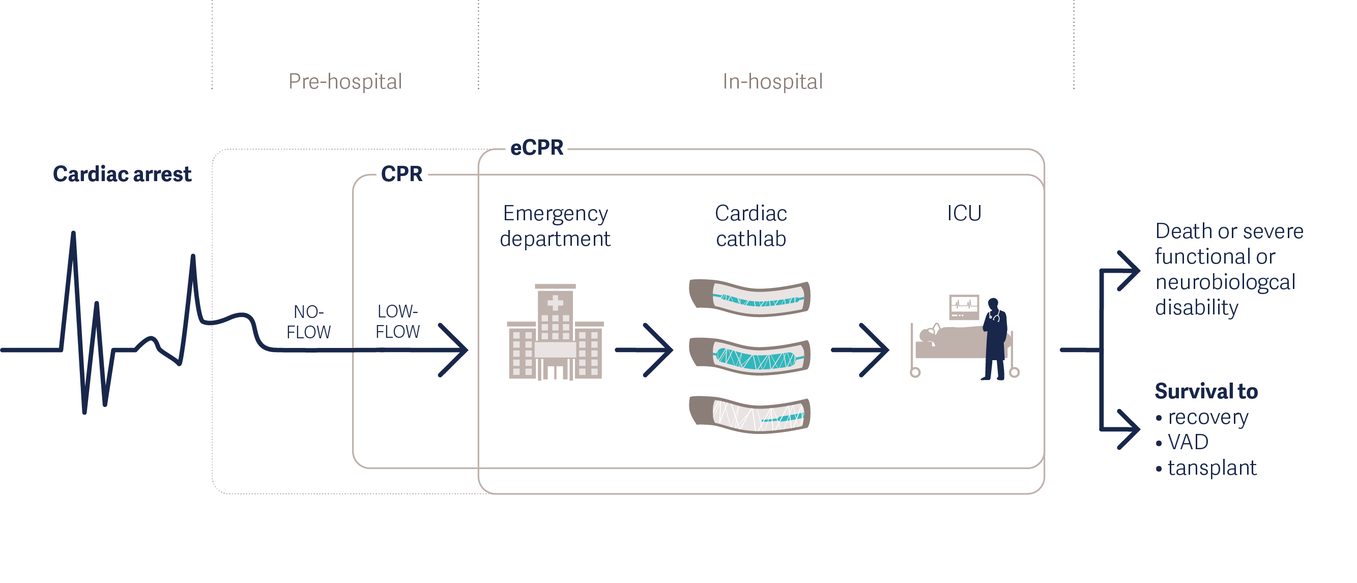 get22121_graph_ECMO_Insight_R03_1280_eCPR.png