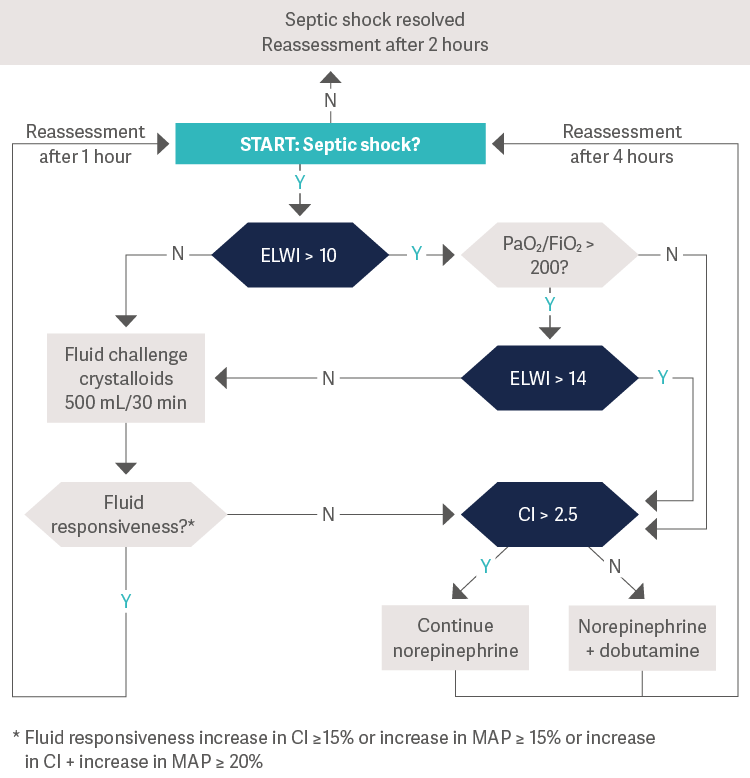 Hemodynamic sepsis management within first 24 hours