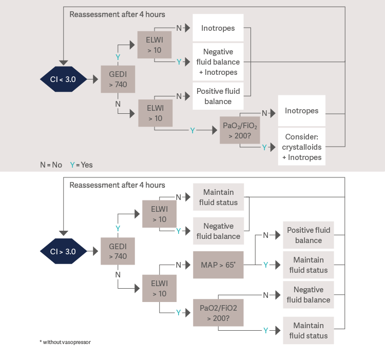 Hemodynamic sepsis manangement after first 24 hours