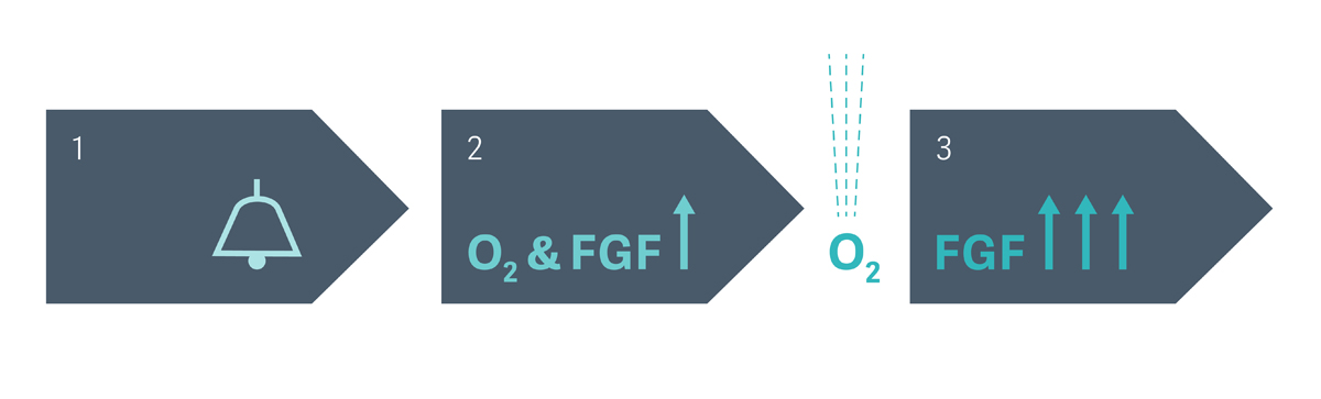 Hypoxic guard Flow-i O2