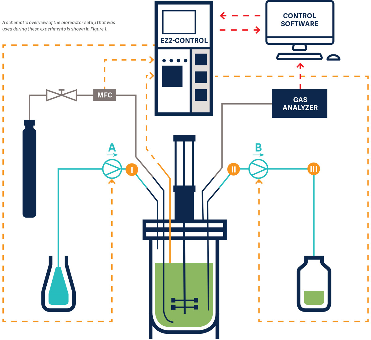 Diagram of a bioreactor setup with a control unit, gas analyzer, and flow system connected to software.