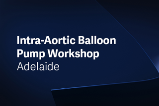 IABP Workshop - Adelaide