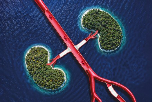 Aerial image shows two kidney-shaped islands in blue waters, connected by a red road resembling blood vessels with Advanta stents
