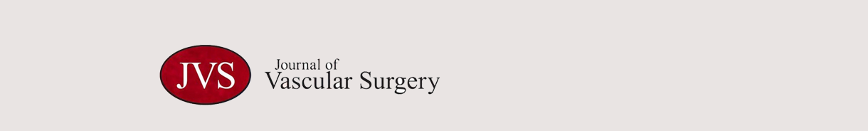 jvs journal of vascular surgery
