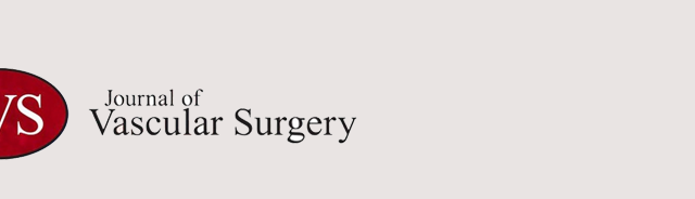 jvs journal of vascular surgery