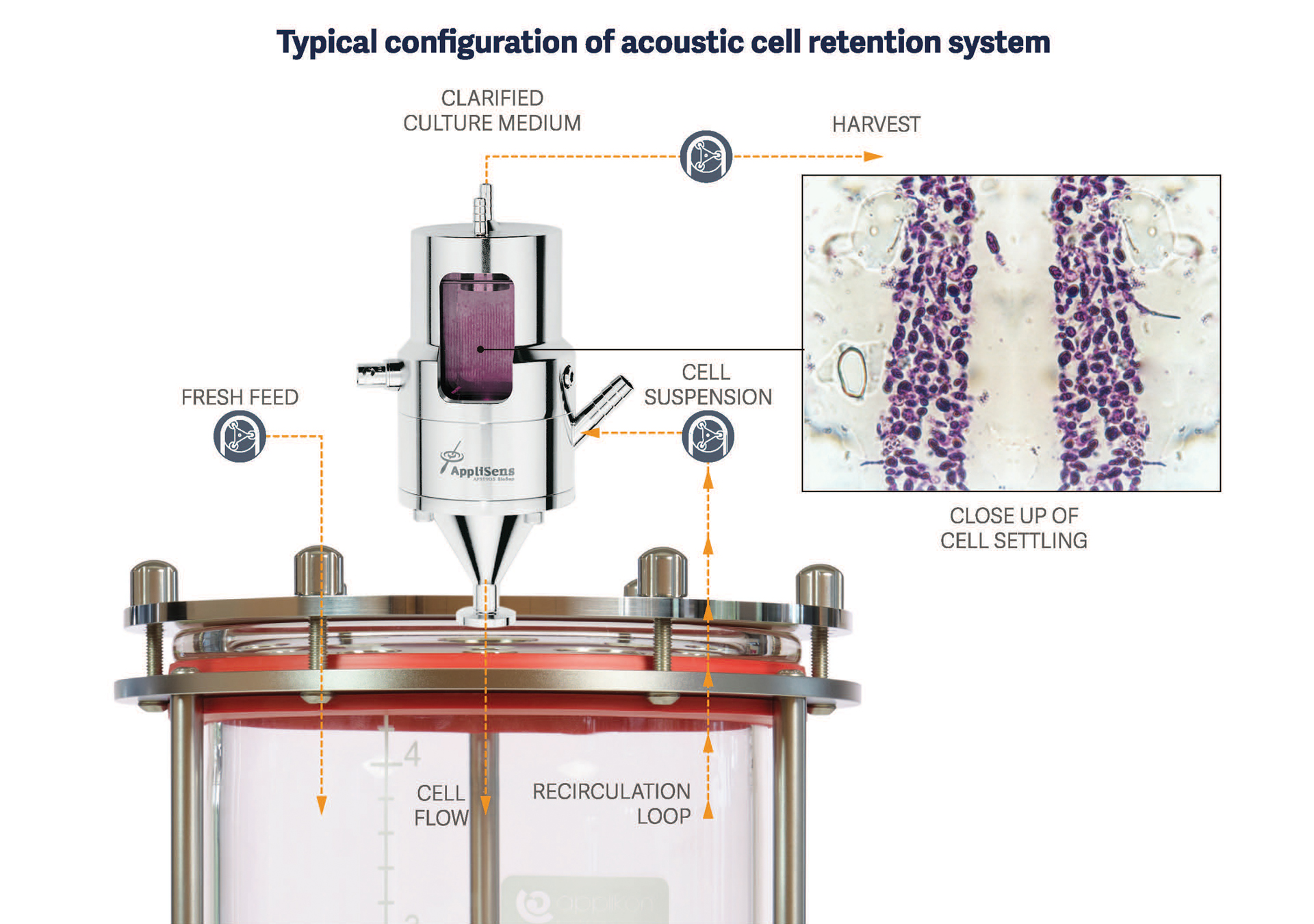 Applikon BioSep - 高密度灌流プロセス用細胞保持システム - Getinge