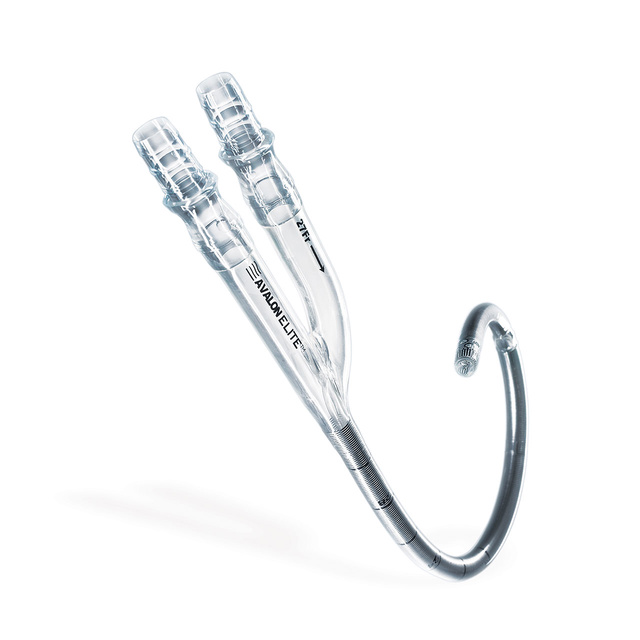 Avalon Elite Bi-Caval Dual-Lumen Catheter for single-site venous vessel access during ECMO.