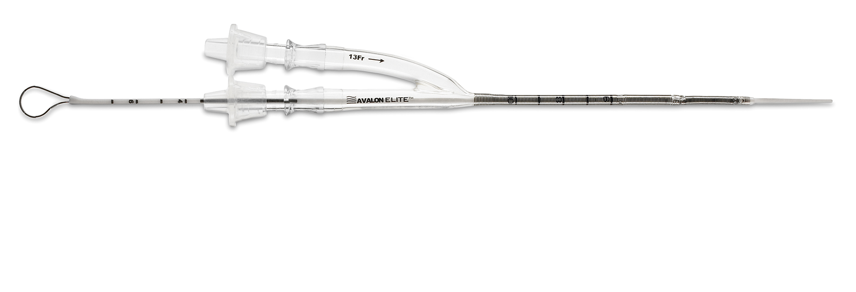 Avalon Elite Catheter Avalon Elite Catheter