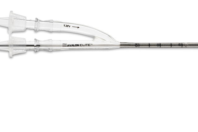 Avalon Elite Catheter