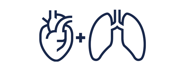 Lung & heart icon