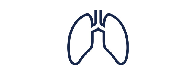 Lung icon