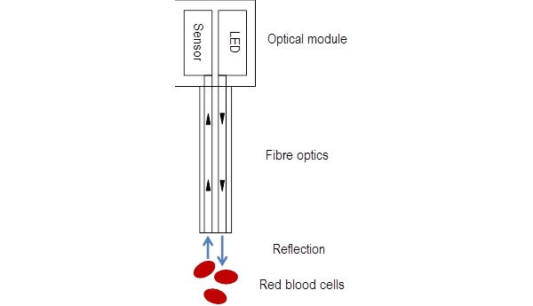 CeVOX methodology