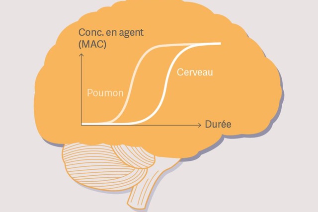 MAC cérébrale