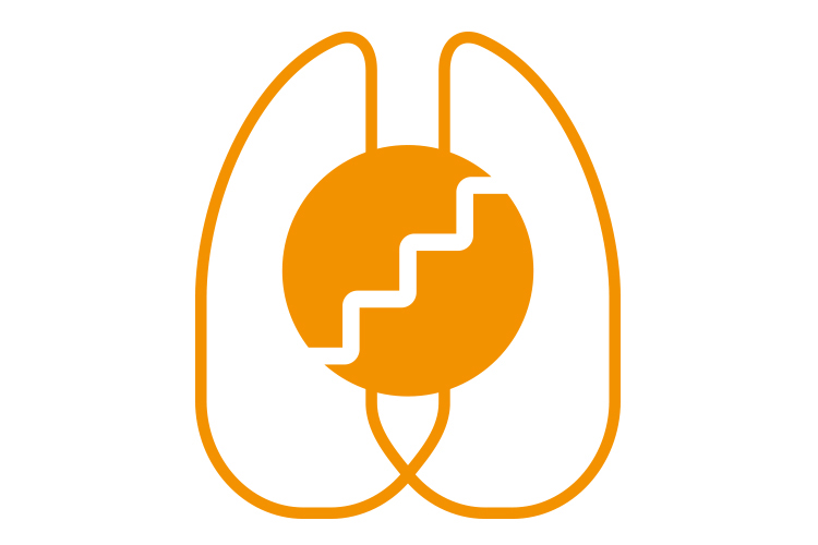 Lung recruitment flow anesthesia