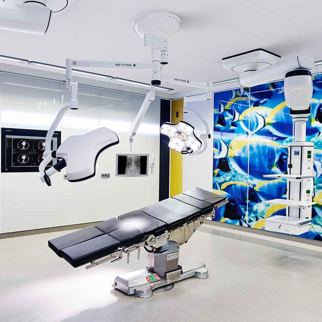 Different wall materials are designed to meet the requirements of different hospital areas.