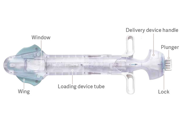 Seal loader and delivery device