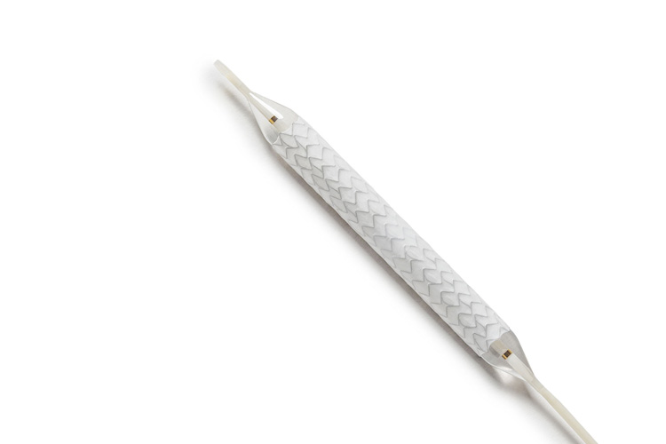 iCast covered stent system