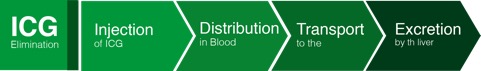 icg_elimination_e_500px_new.jpg
