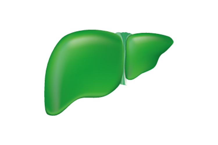 Liver app Liver app