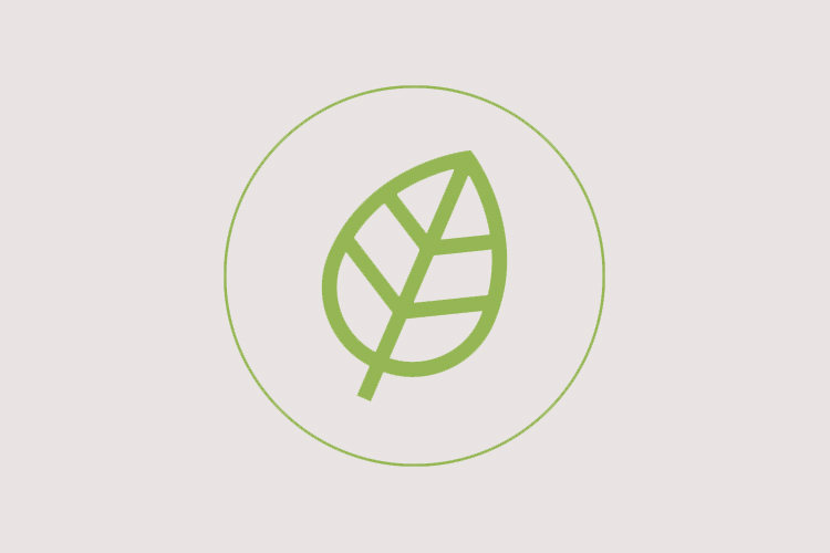 Maquet Lucea examination and operating lights, small environmental footprint Maquet Lucea examination and operating lights, small environmental footprint