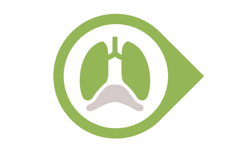 Protect the lungs in synchrony with the patient