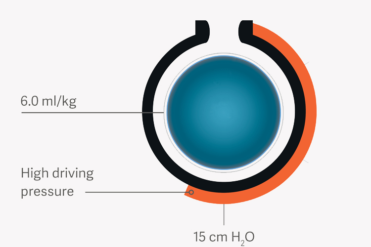 Servo-air servo compass monitoring