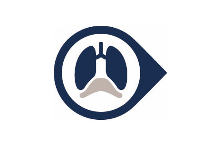 Lung-and-diaphragm-protective-ventilation-lungs Lung-and-diaphragm-protective-ventilation-lungs