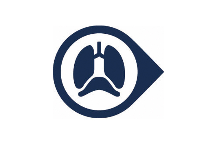Lung-and-diaphragm-protective-ventilation-lungs-diaphragm Lung-and-diaphragm-protective-ventilation-lungs-diaphragm
