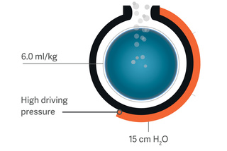 Servo compass