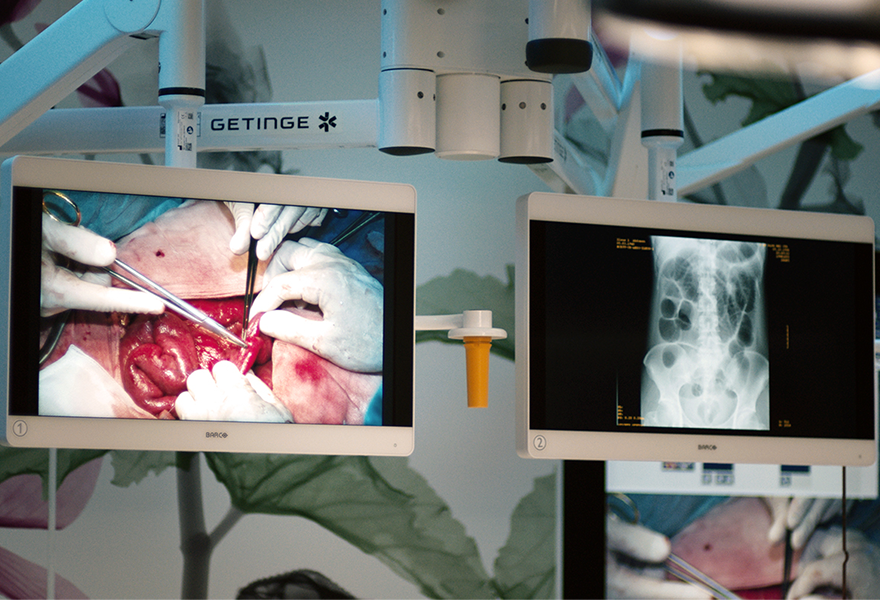 Tegris OR Integration solution with 4K-UHD imageing Tegris OR Integration solution with 4K-UHD imageing