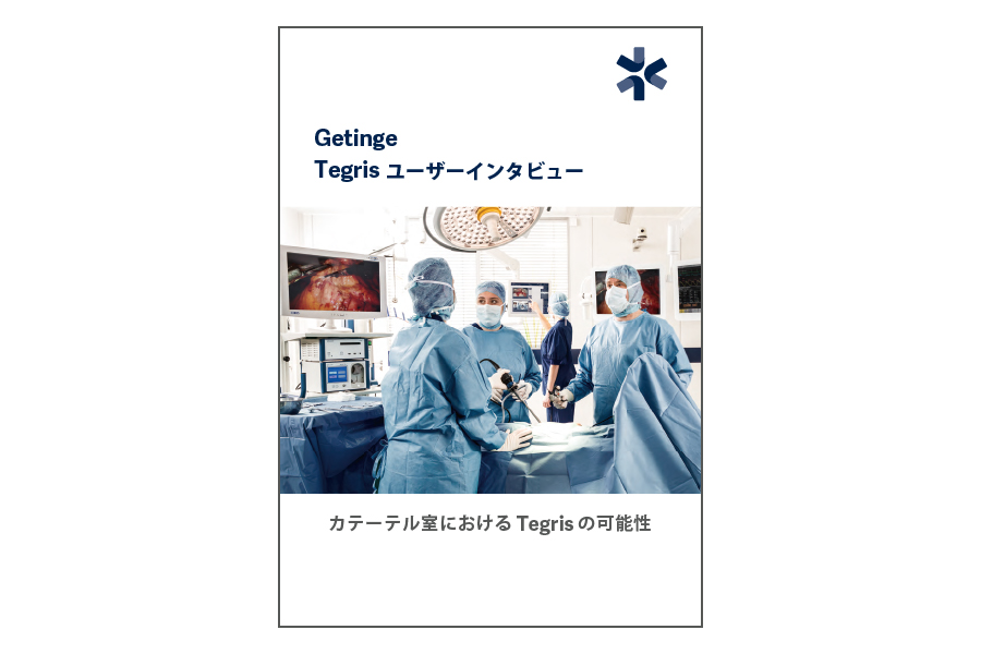 Tegris ユーザーインタビュー カタログ画像 Tegris ユーザーインタビュー カタログ画像