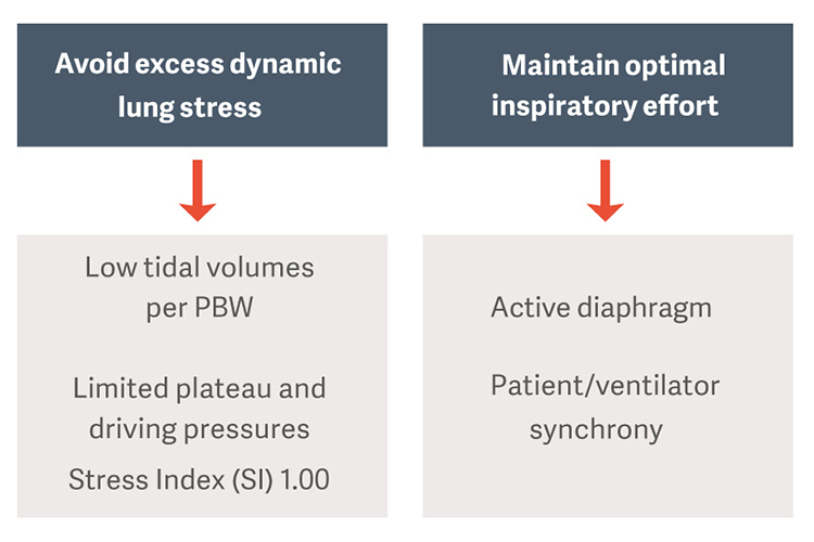 Flowchart on lung stress management: avoid excess stress with low tidal volumes and optimal inspiratory effort.