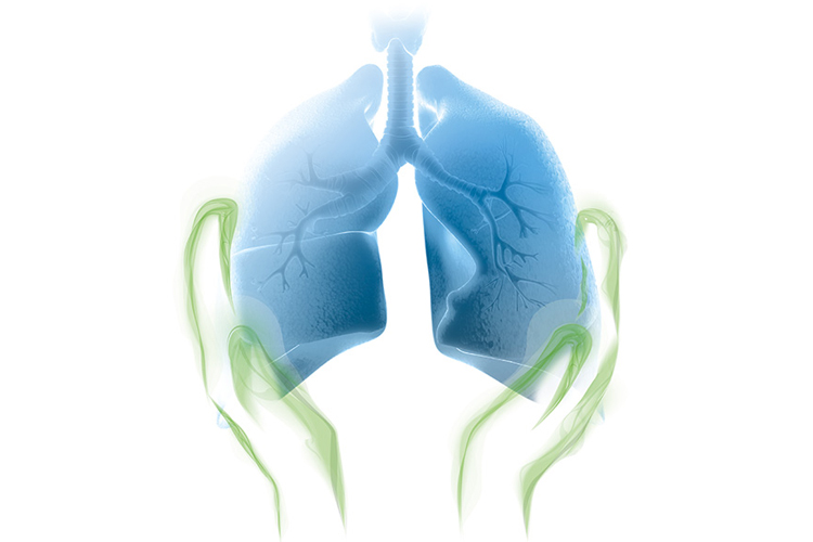 ECLS (ECMO) therapy in ICU for adult patients with ARDS