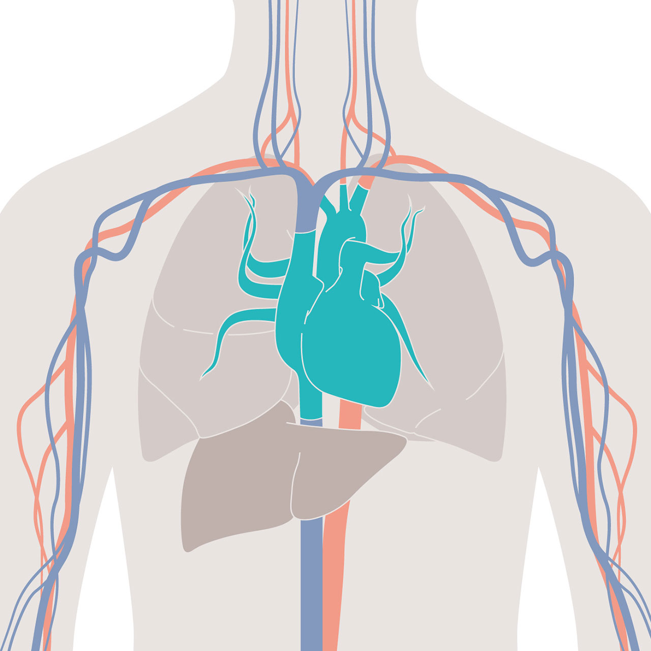 CO Trend Monitoring with ProAQT Guide fluid therapy via dynamic parameters in order to optimize the balance between oxygen delivery and consumption.
