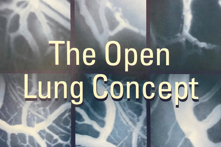 Marketing advertisement for the Open Lung Tool showing X-ray of lungs overlaid with the words The Open Lung Concept Marketing advertisement for the Open Lung Tool showing X-ray of lungs overlaid with the words The Open Lung Concept