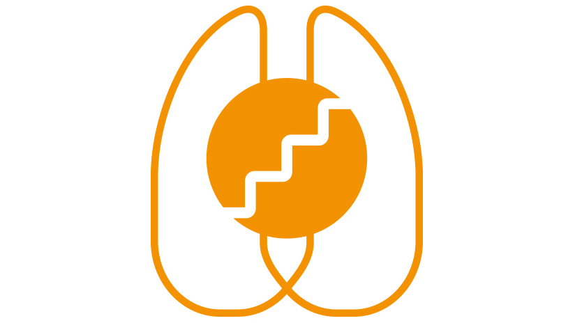 Lung recruitment Flow Anesthesia