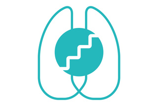 Teal abstract lungs with a circular shape featuring a vertical zigzag line in the center.