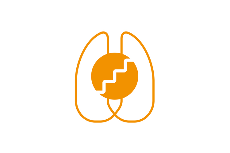 Lung recruitment Flow Anesthesia Lung recruitment Flow Anesthesia