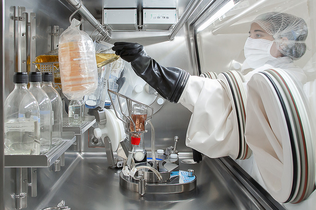 An operator performing sterility testing in an ISOFLEX-R isolator.
